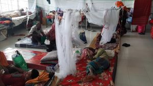 হাসপাতালে ডেঙ্গুতে আক্রান্ত রুগি